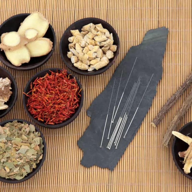 Lớp chuyên đề tháng 8 - Đào tạo mục thuốc Đông y và châm cứu